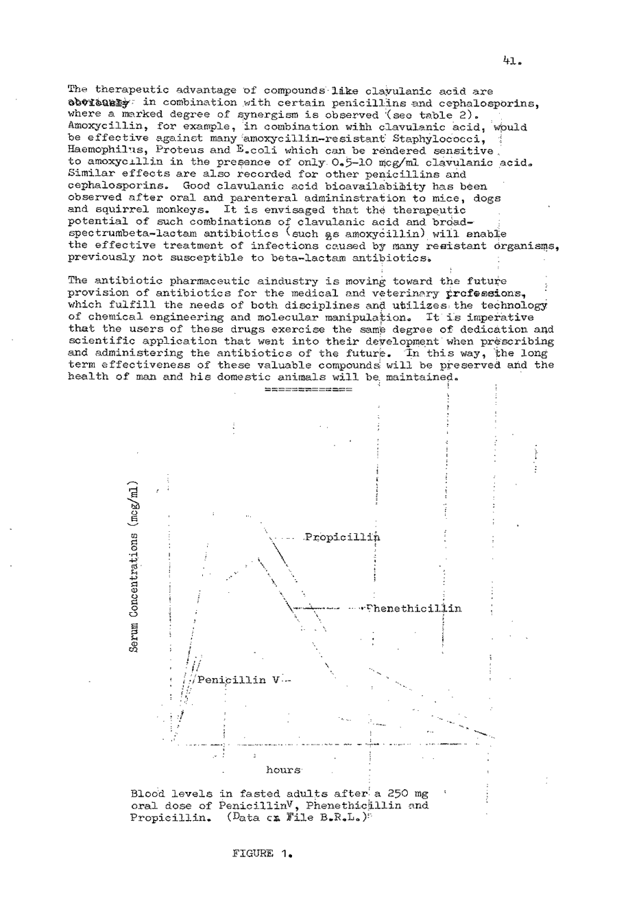 1979 page 41